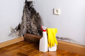 Best Emergency Mold Remediation  in Carbondale, KS